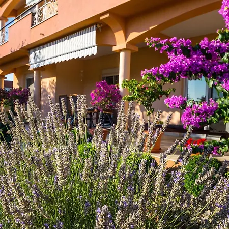 1001 Nights 公寓 扎达尔